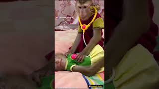 गुड न्यूज🤣😂😀😅 shots viral comedy karamativlog funnyanimals funny [upl. by Notned]