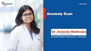 Anomaly Scan Detecting Congenital Heart Problems in Pregnancy [upl. by Alam]