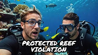 YouTuber Commits Crimes On A Protected Reef Scuba Instructor Reacts [upl. by Maureen795]