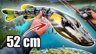 MONSTER vs Tiny Lures for PIKE FISHING 🔥 1000 g Swimbait [upl. by Narual]