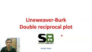 Lineweaver Burk double reciprocal plot [upl. by Kery429]