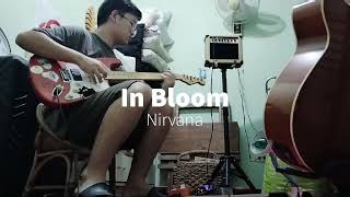 In Bloom  Nirvana guitar cover [upl. by Treboh]