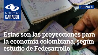 Estas son las proyecciones para la economía colombiana según estudio de Fedesarrollo [upl. by Cirilla]