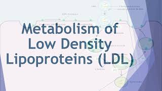 Metabolism of Lipids amp Fatty Acids  2nd Year MBBS  Lecture 12 [upl. by Custer]