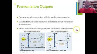 Flippin Science Inputs vs Outputs of Autotrophs and Heterotrophs [upl. by Pennebaker]