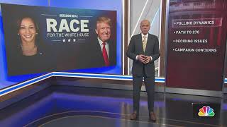 Decision 2024 Race for the White House  NBC New York [upl. by Ahar]