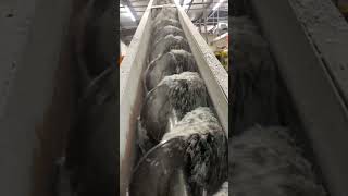 Densifying HDPE feed auger [upl. by Nilak723]