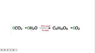 PhotochemistryCHEM201 Photochemistry and catalysisBSc II [upl. by Esiralc]