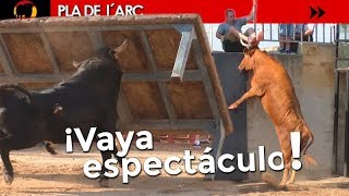 TOROS QUE SALTAN TODO LO QUE SE LES PONE POR DELANTE  PLA DEL ARC 20072018  GERMÁN VIDAL [upl. by Nosna]