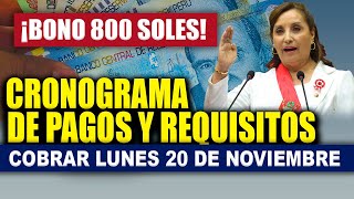 Bono 800 soles cronograma de pagos requisitos entrega lunes 20 de noviembre banco de la nación [upl. by Teri]