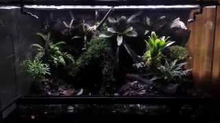 Vivarium Rainstorm with Lightning Effects [upl. by Sekoorb]