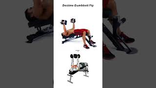 Decline Dumbbell Fly Correct form and muscles worked [upl. by Arinaj992]