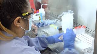 UW Medicine Virology Lab begins antibody testing [upl. by Ocir]