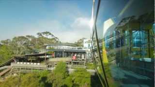 Scenic World Interactive Adventure  Scenic Skyway [upl. by Ermey]