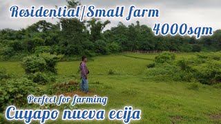 lot416 Small farm good for residential farm 4000sqm wright of way 600k price cuyapo nueva ecija [upl. by Ellekcim]