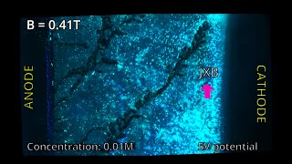 V2694286 Steering Copper Dendrites with Localized Magnetohydrodynamic Convection [upl. by Eliathas]