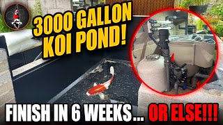 3000 GALLON KOI POND HAD TO BE DONE IN 6 WEEKS [upl. by Tav]