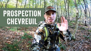 PROSPECTION Chasse au Chevreuil 30 SEPTEMBRE [upl. by Tarra983]