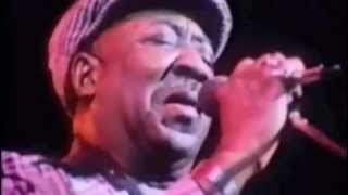 Muddy Waters  Mannish Boy Live  Amazing Version from Eric Claptons film Rolling hotel Manish Boy [upl. by Len433]