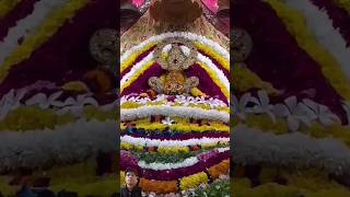 Hare ka sahara baba shyam hamara🙏shyam shyambaba khatushyam khatubhajan viralshorts trending [upl. by Eseilanna]