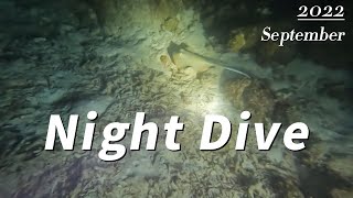 PADI Pulau Redang Night Dive [upl. by Alikat]