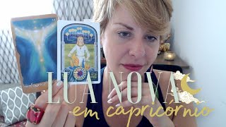 🌚♑  LUA NOVA  em capricórnio  tarot  POR SIGNO  com minutagem [upl. by Susan944]