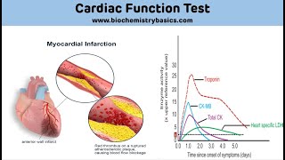 Cardiac Biomarkers Biochemistry  Cardiac Function Test Biochemistry [upl. by Maker]