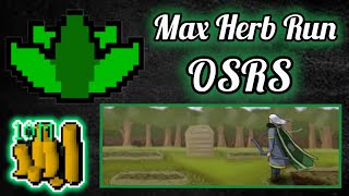 OSRSMAX HERB RUN IS MONEY [upl. by Pollard]