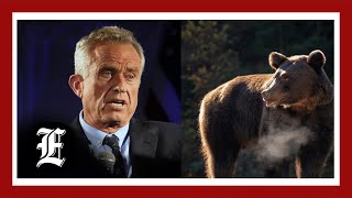 Robert F Kennedy Jr says he left a dead bear in Central Park as a prank [upl. by Nodnar]