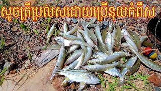 សាកនុយកំពឹសក៏អ៊ែមដែរ អាចសាកបានអ្នកលេងកូនត្រី [upl. by Akemor]