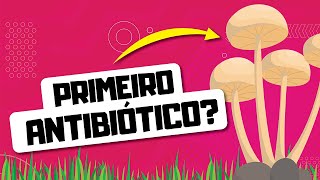 Como surgiu o PRIMEIRO ANTIBIÓTICO [upl. by Anyala]