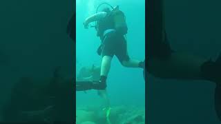 Diving Tragedy of Linnea Mills diving cavediving [upl. by Gregorio43]