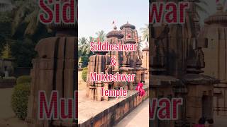 Siddheshwar amp Mukteshwar Temple  Odisha odisha templecityofindia [upl. by Spoor185]