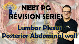 NEET PG Lumbar plexus amp Posterior Abdominal wall [upl. by Derr]