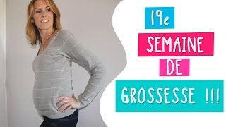 19e semaine de grossesse  21 SA  La 2e échographie [upl. by Markman]