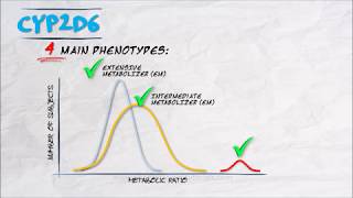 The Pharmacogenetics Series  CYP2D6 [upl. by Akila]