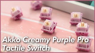 Akko Creamy Purple Pro Tactile Switches  A Decent Budget Tactile [upl. by Dnomra624]