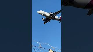 Eurowings A319 Landing at Düsseldorf Airport [upl. by Oicapot]