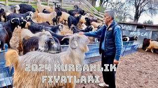 2024 Kurbanlık Fiyatları Ve İnce Ayrıntıları [upl. by Tamqrah164]