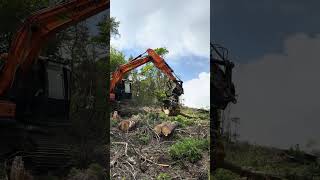 Powerhand EX Forestry Grapple Saw on Doosan excavator [upl. by Saloma]