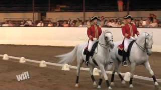 Behind the Scenes of the World Famous Lipizzaner Stallions [upl. by Einnob]