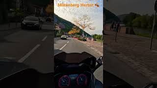 Miltenberg Herbst 2023 [upl. by Anthia812]