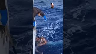 Giant squid grasping his catch fishing squidding fish octopus shark ocean [upl. by Clementius]