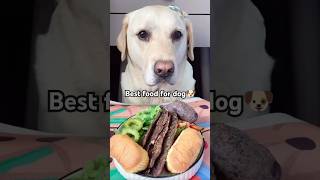 Best Food For Dog 🐶 quot dogfood petfood eat [upl. by Sakiv]