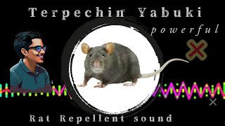 LIVE RatFree Living Ultrasonic Repellent Unveiled [upl. by Rettig]