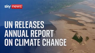 UN releases annual report on climate change [upl. by Cathe878]