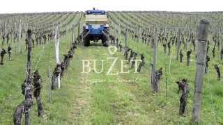 La fertilisation de précision chez les Vignerons de Buzet [upl. by Delly523]