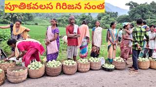 కొండల్లో సీతాఫలాల గిరిజన సంత  puthikavalasa tribal market [upl. by Keyes]