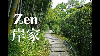 Zen and mindfulness experience in Kamakura Japan [upl. by Aeila]