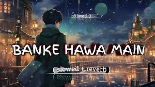 Banke Hawa Main  slowed  reverb lofi song🤗🤗🤗 [upl. by Asselam]